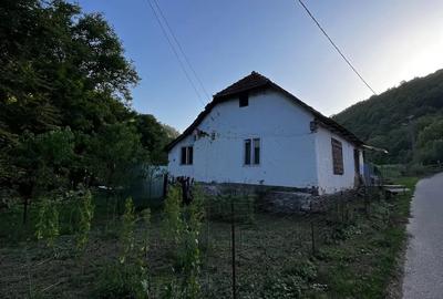 Casa de vanzare in Briheni - 1