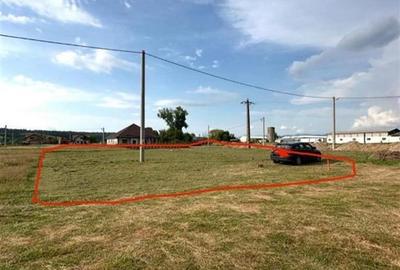 Reco Teren intravilan 600mp Beius - 1