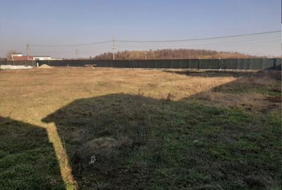 Spațiu comercial, în Mogoșoaia - 6