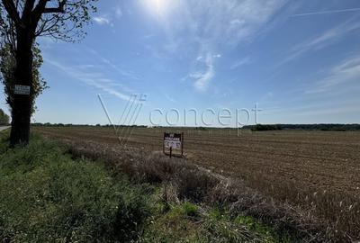 0% comision Teren intravilan – Ciolpani – Izvorani | 1.300 mp - 7