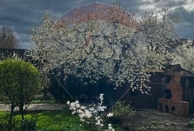 Casă / Vilă cu 8 camere de vânzare în zona Central - 7