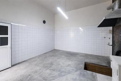 3D! Ansamblu casa+productie+comercial, 3 corpuri,acces stradal,Tudor,Targu Mures - 17