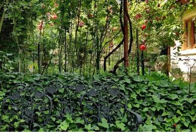 Casă cu 6 camere cu Teren 450 Mp în Aluniș - 3