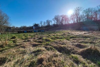Teren agricol extravilan de 6000 mp, în Vest - 3