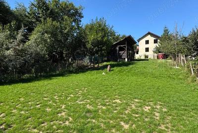 Casa de inchiriat, Calea Turzii, langa Sigma - 5