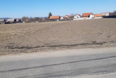 Teren de 2325 mp, în Prejmer - 10