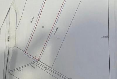 Teren Construcții intravilan de 1400 mp, în Căldăraru - 6
