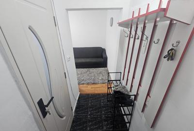 Sagului- Muzicescu- 2 camere- Mobilat/Utilat - 3