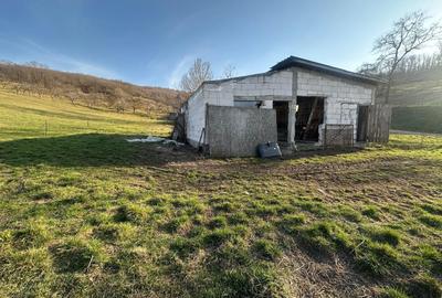 Teren de 2000 mp, în Ghirișu Român - 7