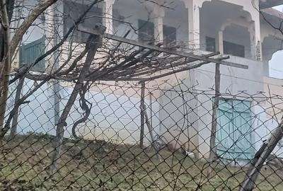 Vand casa batraneasca - 2