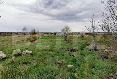 Teren de 4672 mp, în Ișalnița - 2