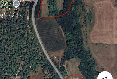 Teren de 9700 mp, în Borșa - 7