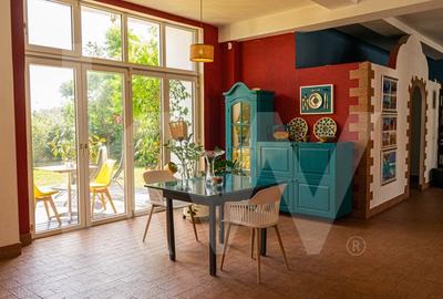 PENSIUNE ELEGANTĂ DE VANZARE IN TURNIȘOR! - 2