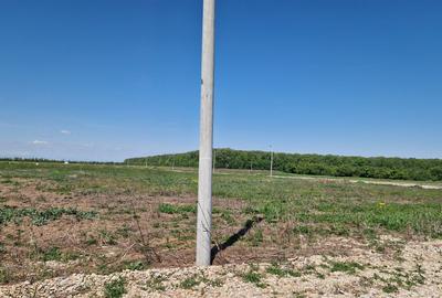 Spațiu comercial, în Cocani - 4