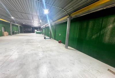 Spațiu industrial, de 500 mp, în Mihai Bravu - 2