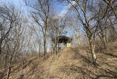 Teren Construcții intravilan de 2788 mp, în Central - 17