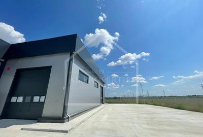 HALA  depozit/hala/spatiu industrial 2025, CHITILA - TOP DEAL - 2