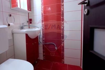 Apartament de inchiriat, zona Lapus - langa Electroputere Mall - 4