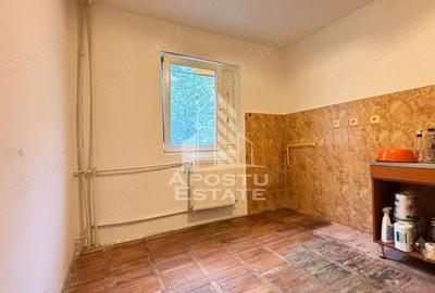 Apartament cu 2 camere decomandat în Buziașului