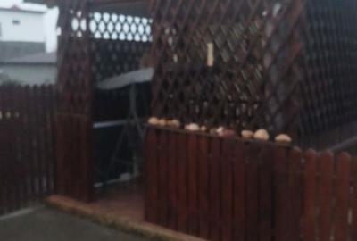 Casă cu 4 camere în Sibioara - 5