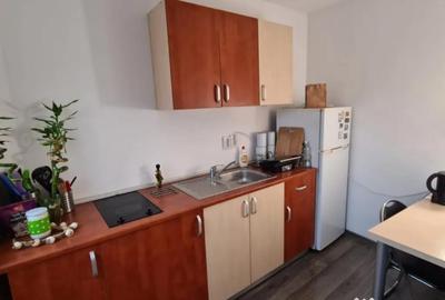 Apartament cu 2 camere semidecomandat, mobilat în Eminescu - 8