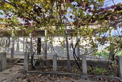 Casă cu 3 camere în Bucești - 5