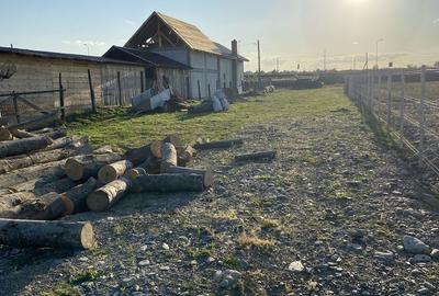 Spațiu comercial, în Cârțișoara - 7