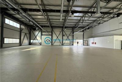 Spațiu industrial, de 1,183.2099609375 mp, în Exterior Vest - 4