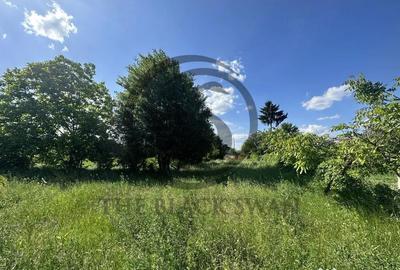 Teren de 11000 mp, în Ghirdoveni - 11