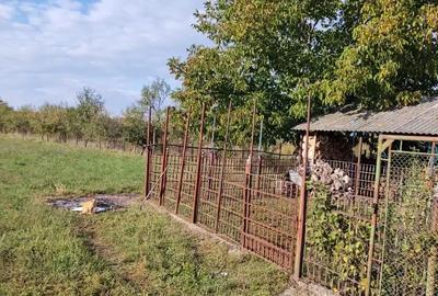 Casă cu 6 camere cu Teren 2900 Mp în Gurbediu - 6