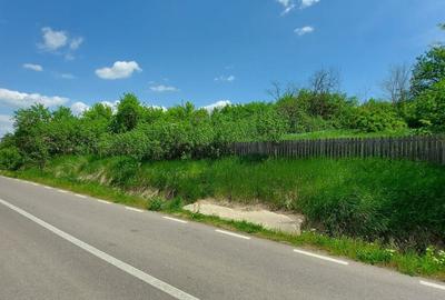 Teren de 1490 mp, în Miroslava - 3