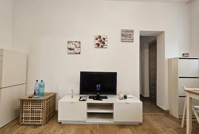 Apartament 2 camere Domenii - 7