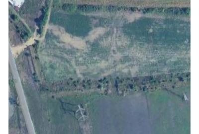 Teren de 6700 mp, în Cernica - 3