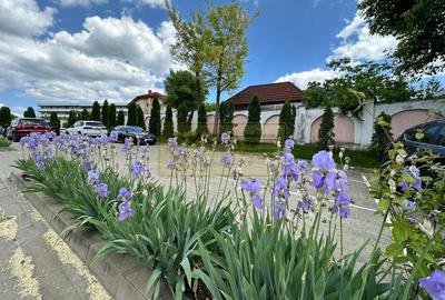 Apartament 2 camere bloc boutique Restaurant Little Texas - 23