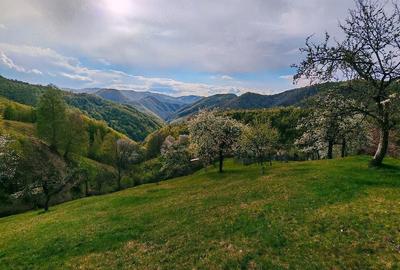 Casă cu 4 camere cu Teren 49690 Mp în Boș - 1