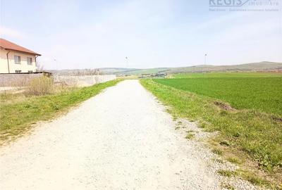 Teren în Bod - 3