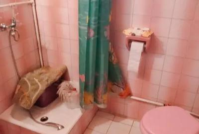 Casă cu 7 camere cu Teren 830 Mp în Central - 3