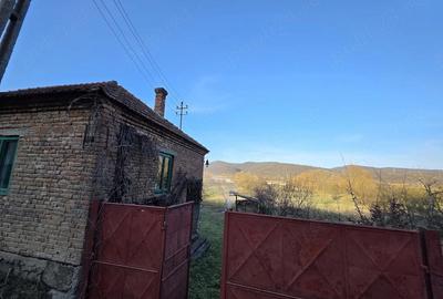 Casă cu 4 camere cu Teren 1887 Mp în Tisa - 18