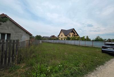 Teren Construcții intravilan de 2700 mp, în Dumbrava Roșie - 2
