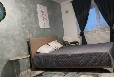 Apartament cu 2 camere decomandat în Central - 5