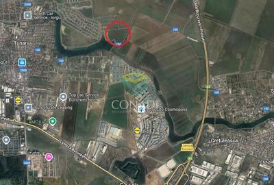 Teren - dezvoltare rezidentiala - Tunari 10.000 mp - 6