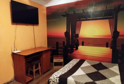 Apartament 2 camere Cantemir, etaj intermediar, renovat - 3