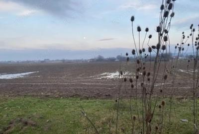 Vand teren agricol Lipanesti Parhiva - 2