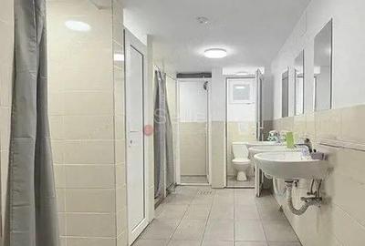 Spatiu Productie Logistica si Depozitare - 3