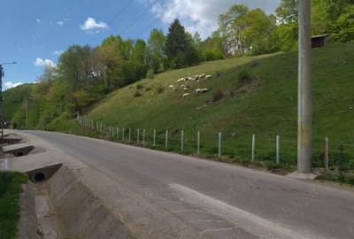 Namaesti - Valea Mare Pravat, 7000 mp. teren intravilan cu pozitie excelenta - 5