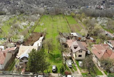 Teren de 4898 mp, în Cornu - 3