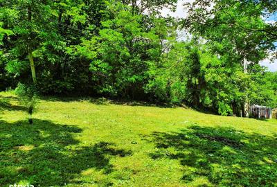 Spațiu comercial, în Drajna - 8