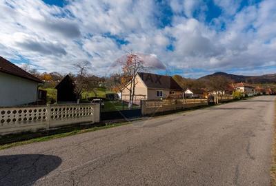 Casa de vanzare Certejul de sus,jud. Hunedoara - 22