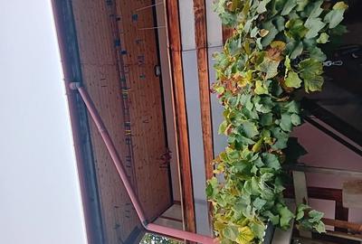 Casă cu 4 camere în Rădăuți - 8