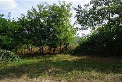 Teren Construcții intravilan de 353 mp, în Bujoreni - 2